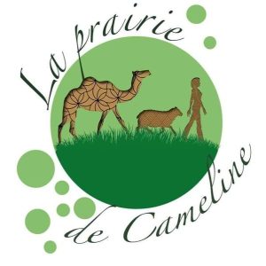 Prairie de cameline