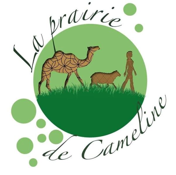 Prairie de cameline
