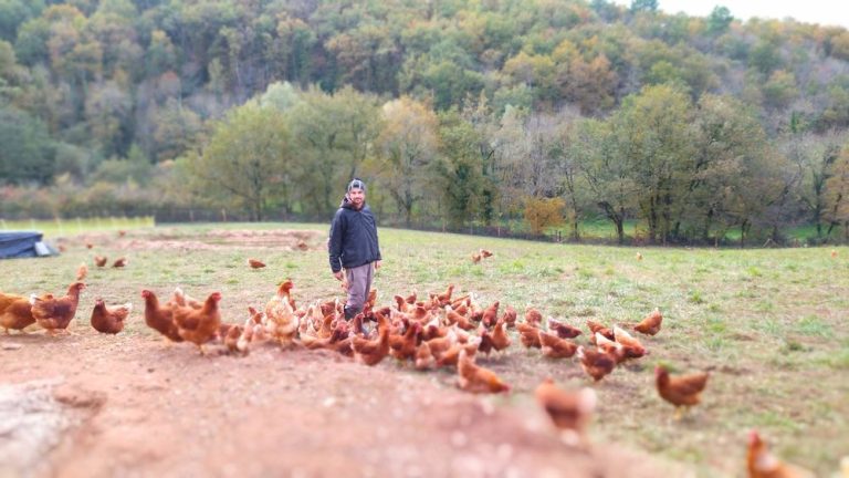 Les Oeufs de la Bancalié
