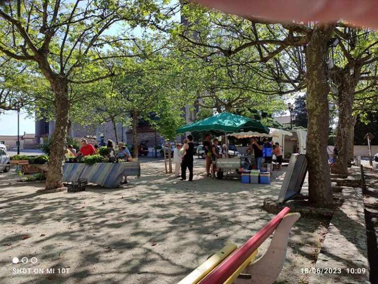 Marché de Montredon-Labessonnié