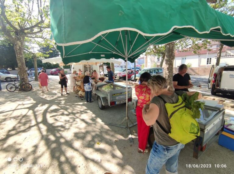 Marché de Montredon-Labessonnié
