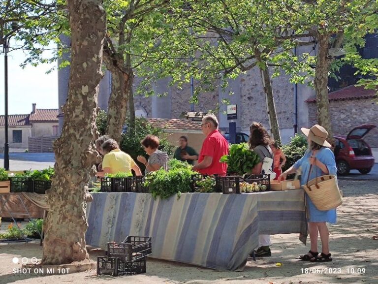 Marché de Montredon-Labessonnié