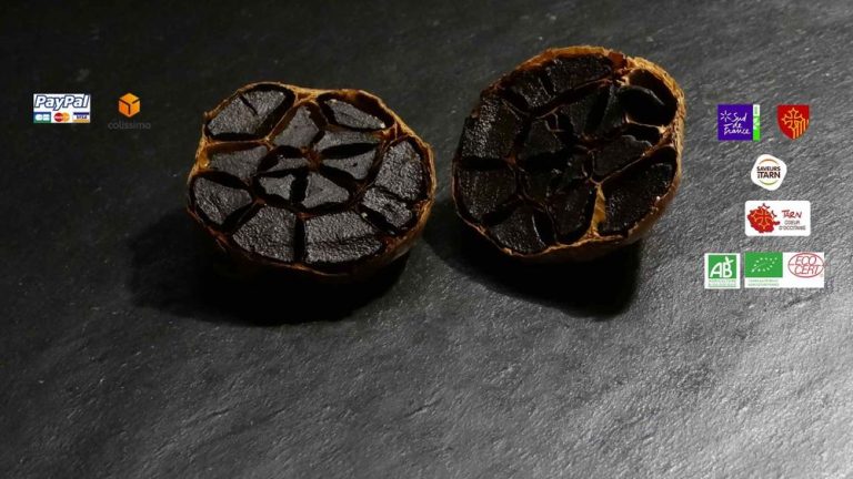 AIL NOIR BIO TERROIRS DE FRANCE