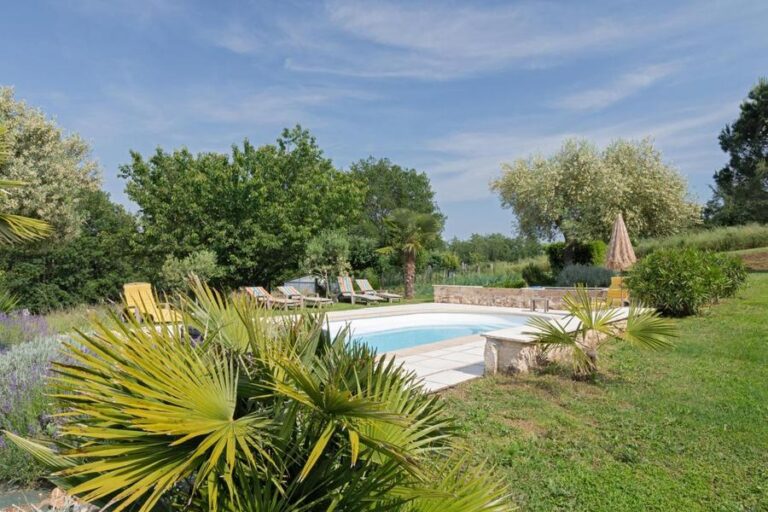 Domaine des Clauses - Clos des Vignes - Fauch - Gîtes de France - piscine