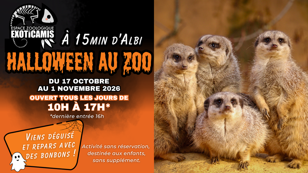 Halloween à EXOTICAMIS