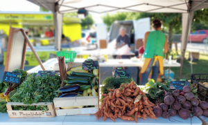 Maraîchage Bio Molinié