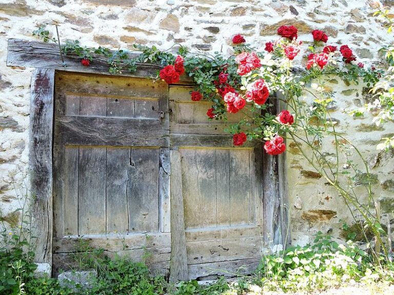 La Fenial - Le Moulin du Barthas