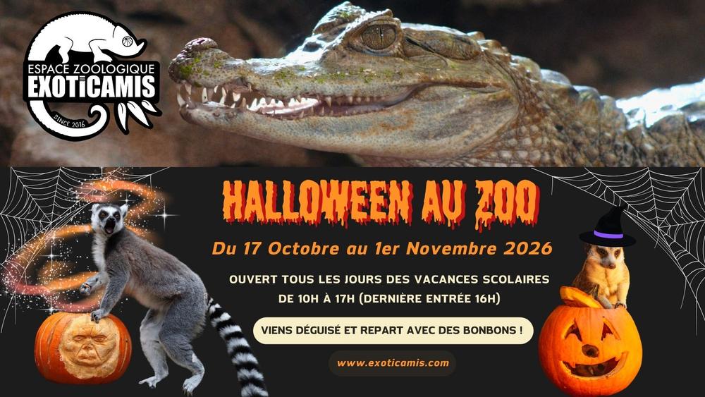 Halloween à Exoticamis