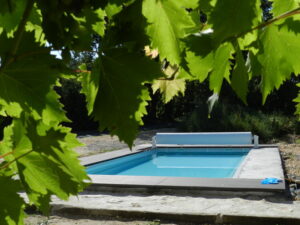 Le Merle Batigne