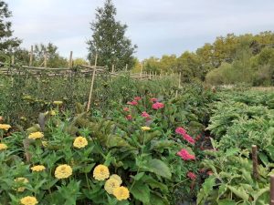 Terre d'Abondance