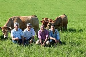 Gaec Bovins Porcs