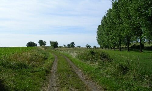 Chemin D'Agros
