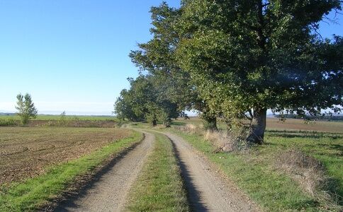 Chemin Des Mineurs