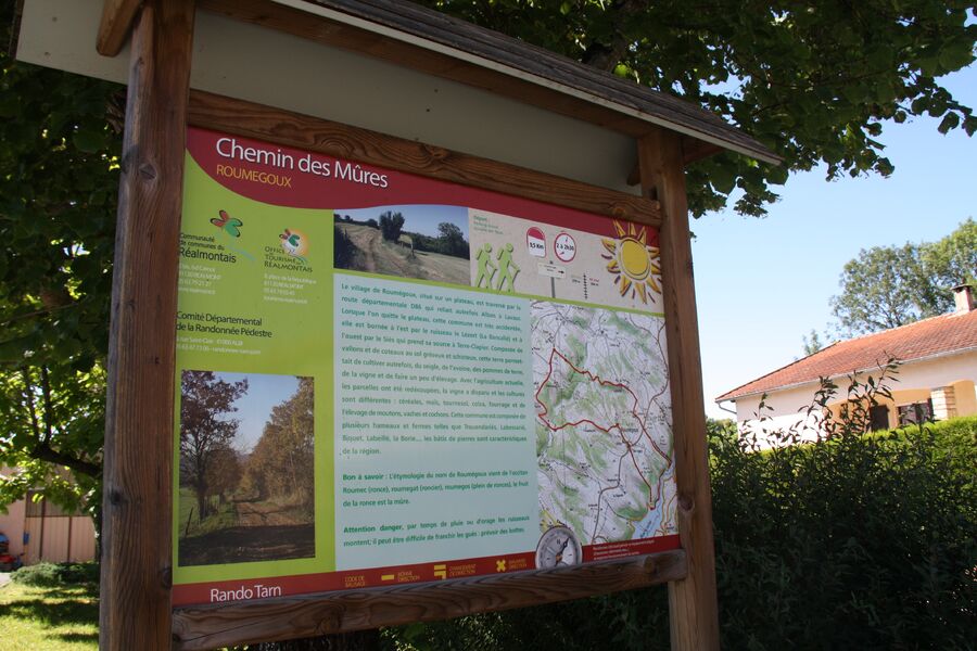 Chemin Des Mûres