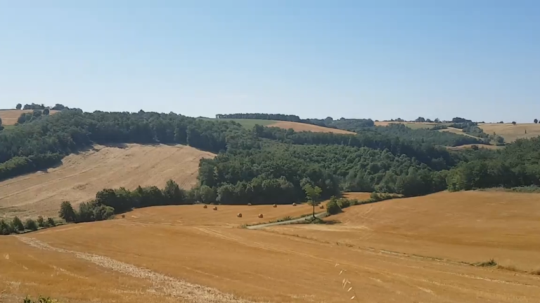 Chemin Des Mûres