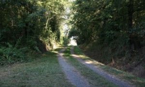 Chemin Des Puechs En Assou