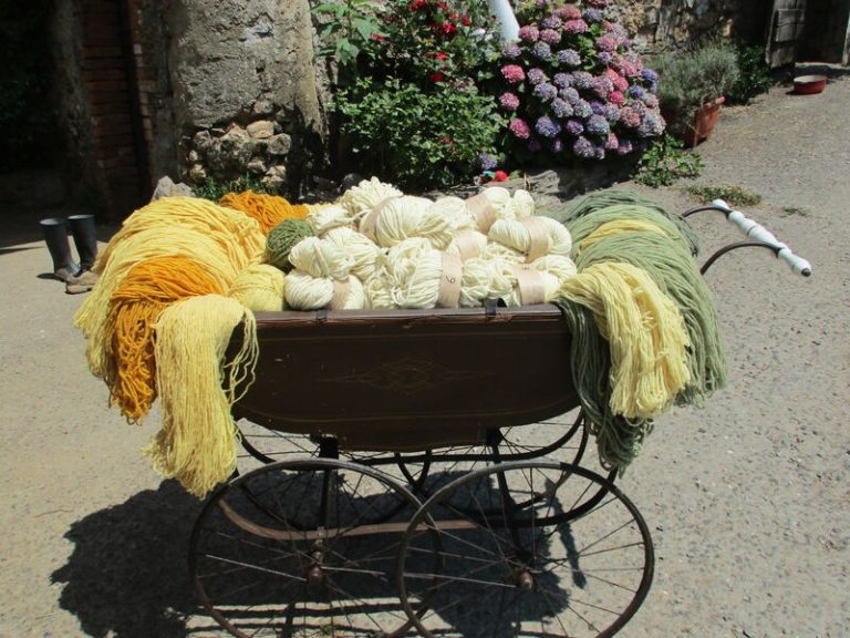 Bouclette et Compagnie