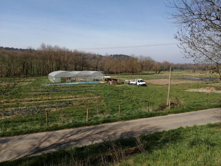Ferme de Soleil Cat